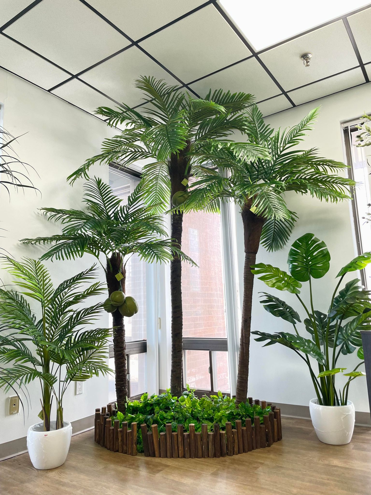 Artificial Palm Trees for Rent & Purchase | Bring Tropical Elegance to Any Space