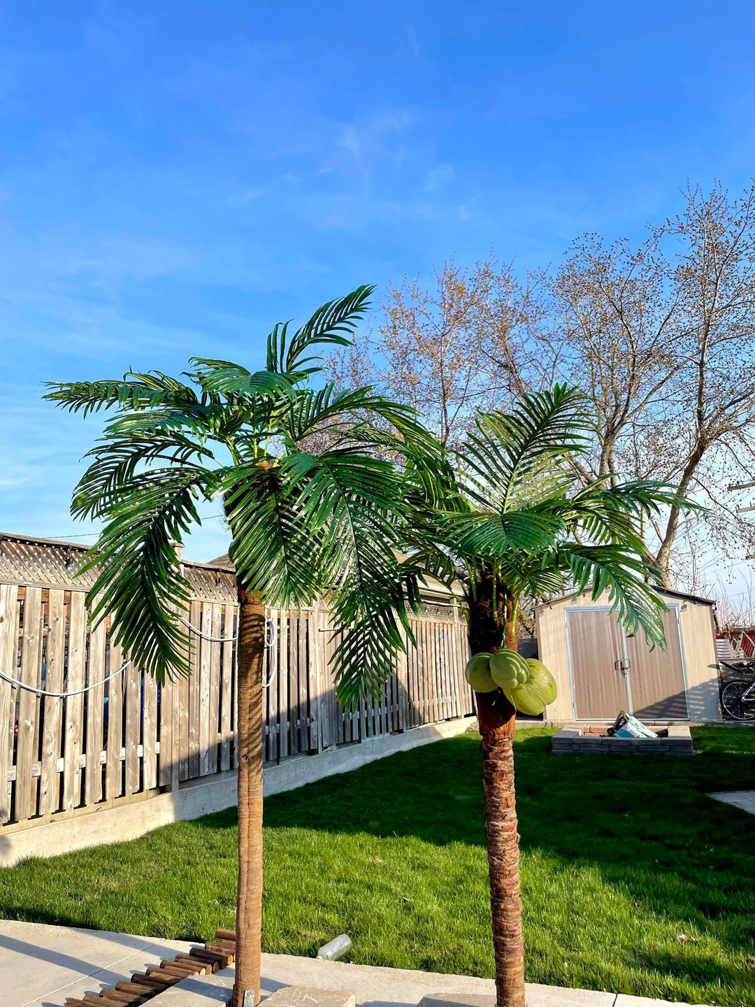 Bring Paradise Home with Our Stunning Artificial Coconut Trees 🌴