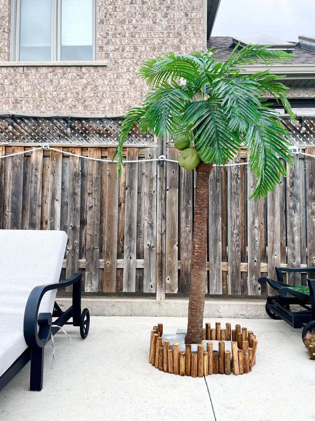 Artificial Palm Trees for Rent & Purchase | Tropical Décor by Waysaving