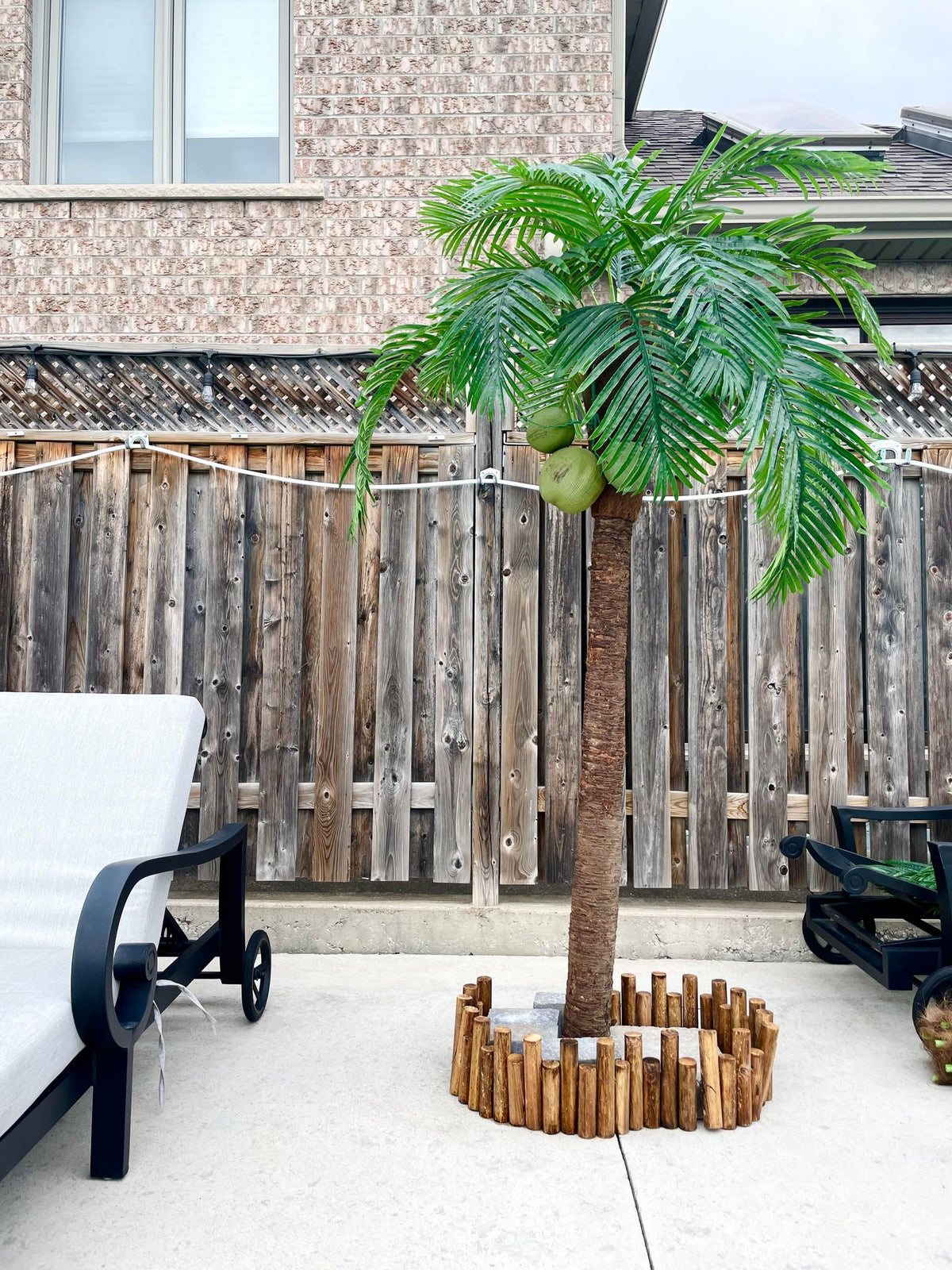 Artificial Palm Trees for Rent & Purchase | Tropical Décor by Waysaving