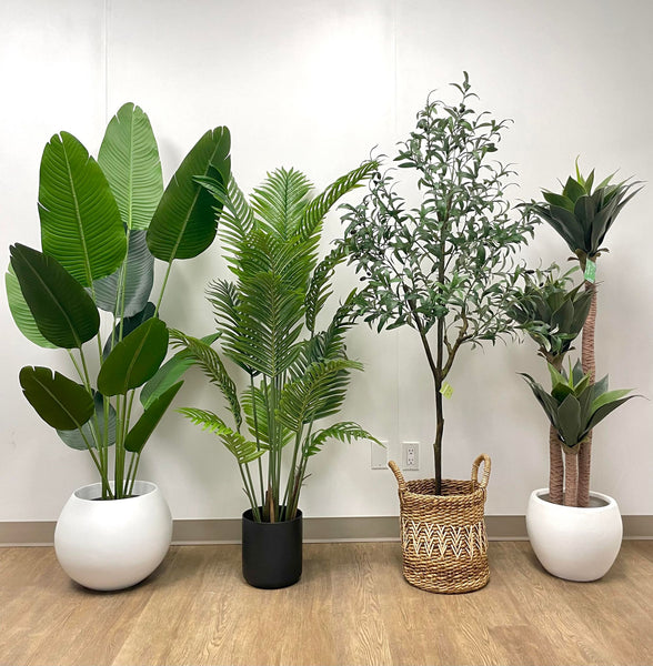 Transform Your Home Into a Green Oasis