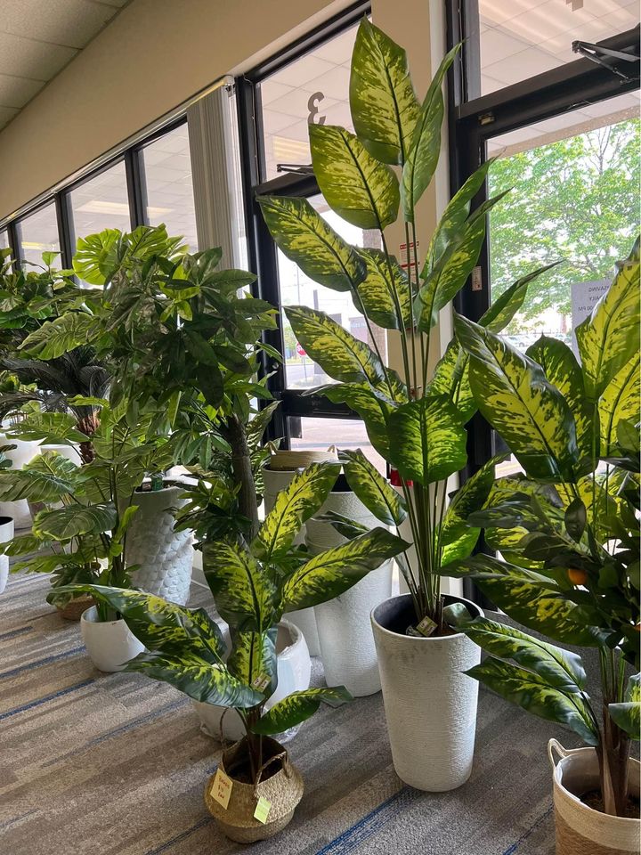 Bring Nature Indoors: The Effortless Charm of Artificial Plants