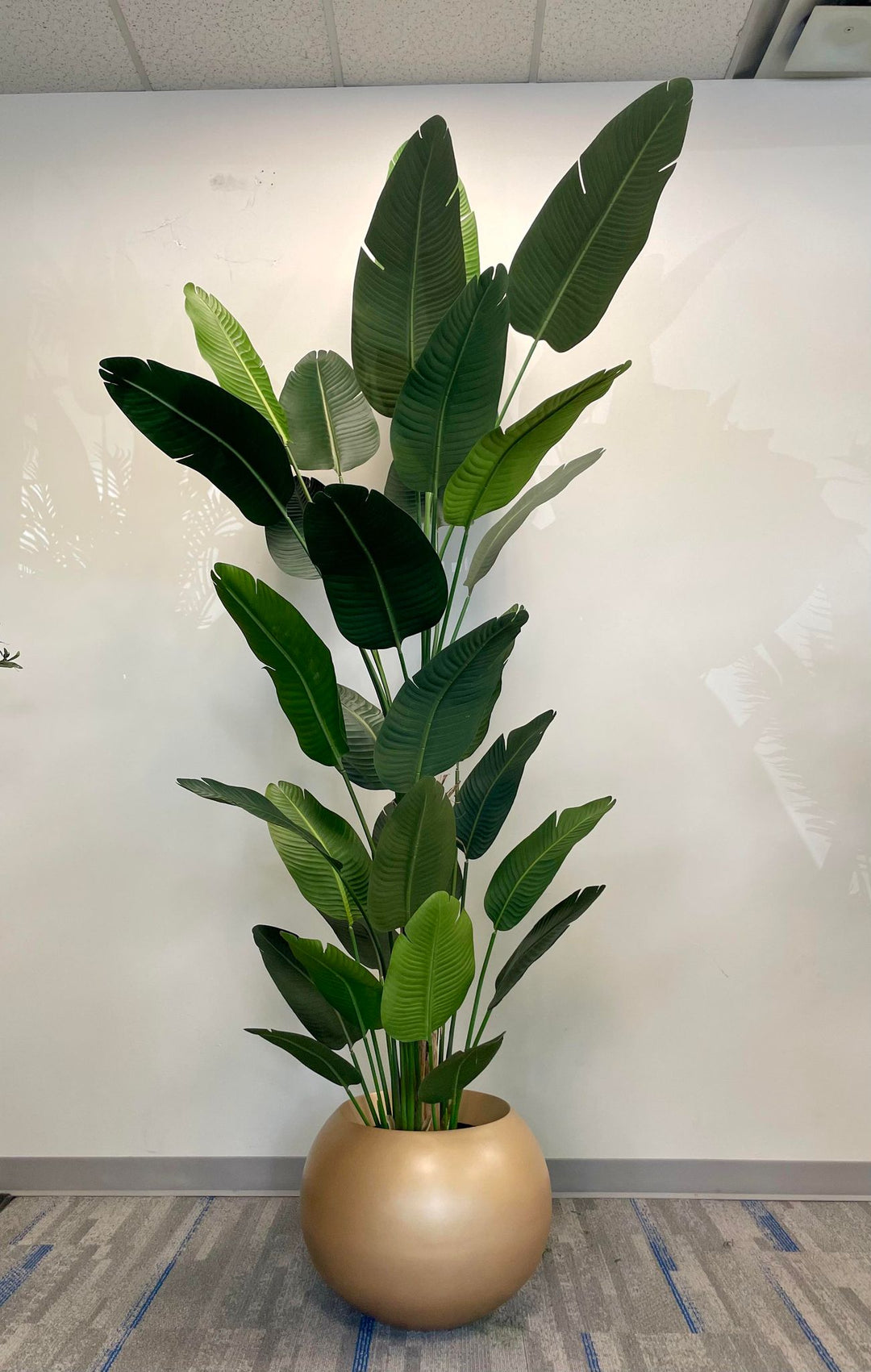 Bring Paradise Indoors with the Timeless Beauty of the Bird of Paradise