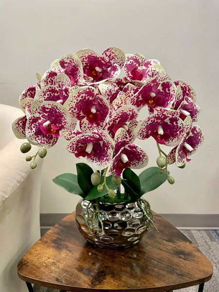 Why Orchids Are More Than Just Beautiful Flowers