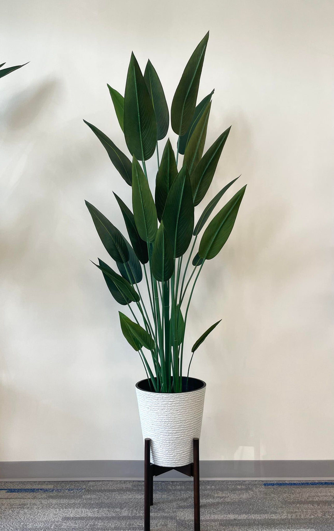 Protecting Your Artificial Plants: How to Stop Color Fading