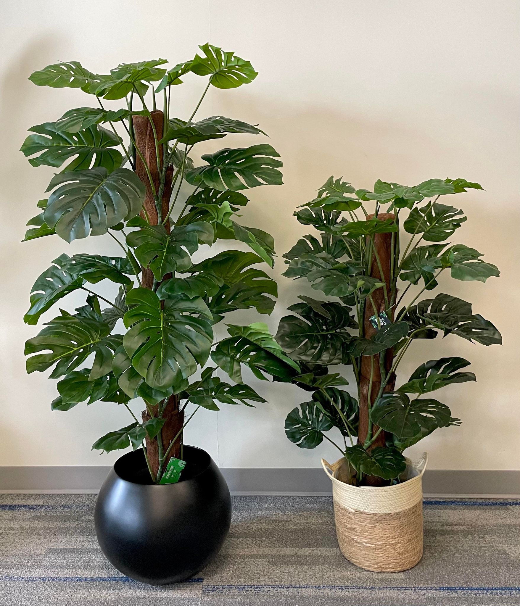 Artificial Monstera Plant – From $130 to $220 (Size: 4ft–7ft)