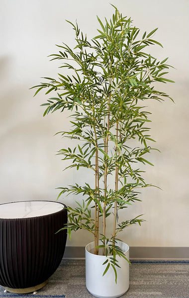Breathe Calm into Your Space with Artificial Bamboo Trees
