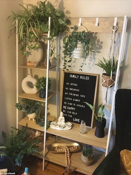 Why Faux Plants Are the New Must-Have Decor Item for Social Media Influencers