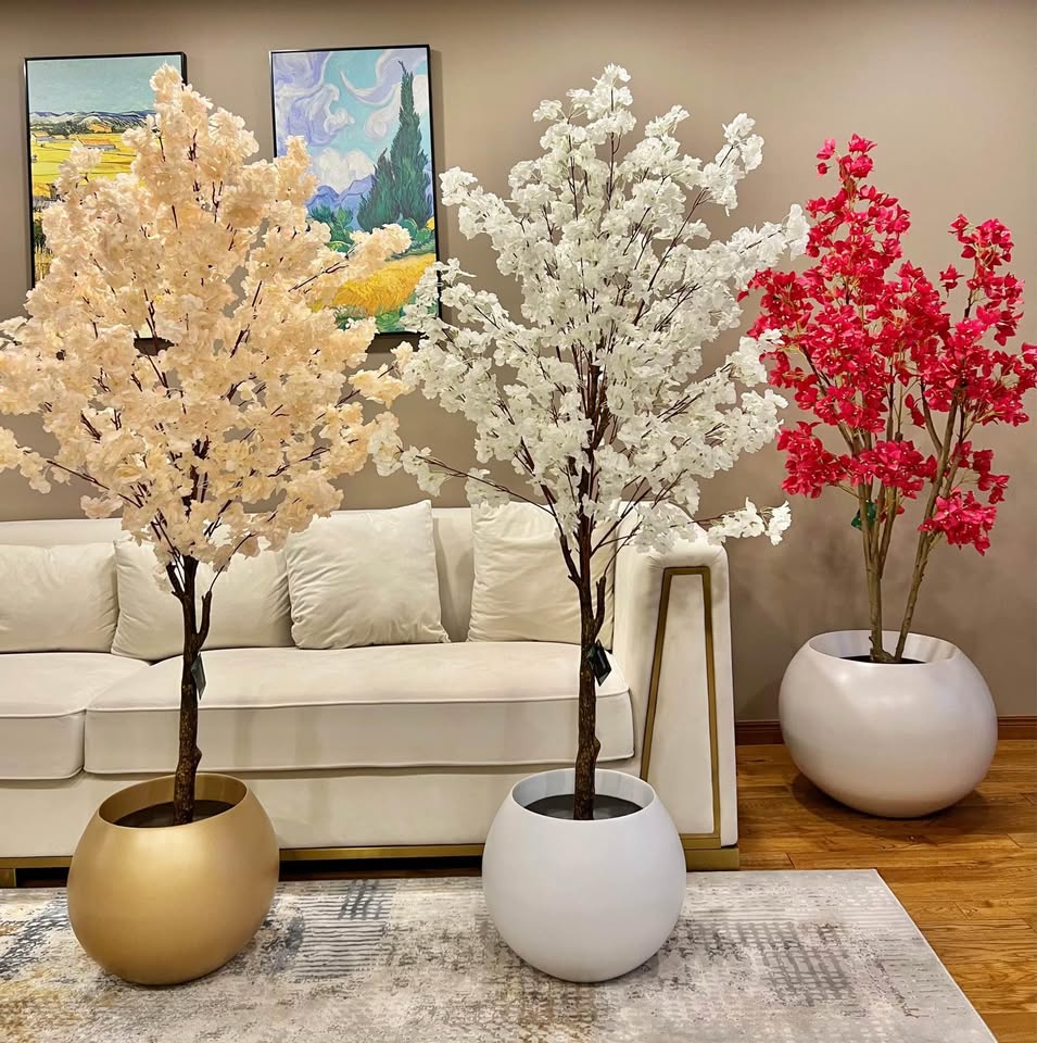 Seasonal Flower Plants That Keep Your Home Fresh All Year