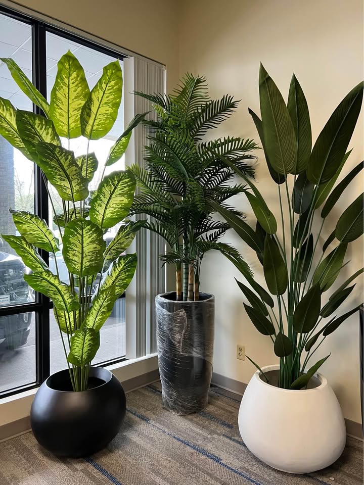 Why Spring is the Best Time to Upgrade Your Patio Décor