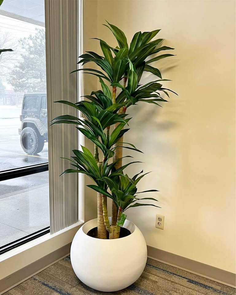 Choosing the Best Artificial Plant for Every Room