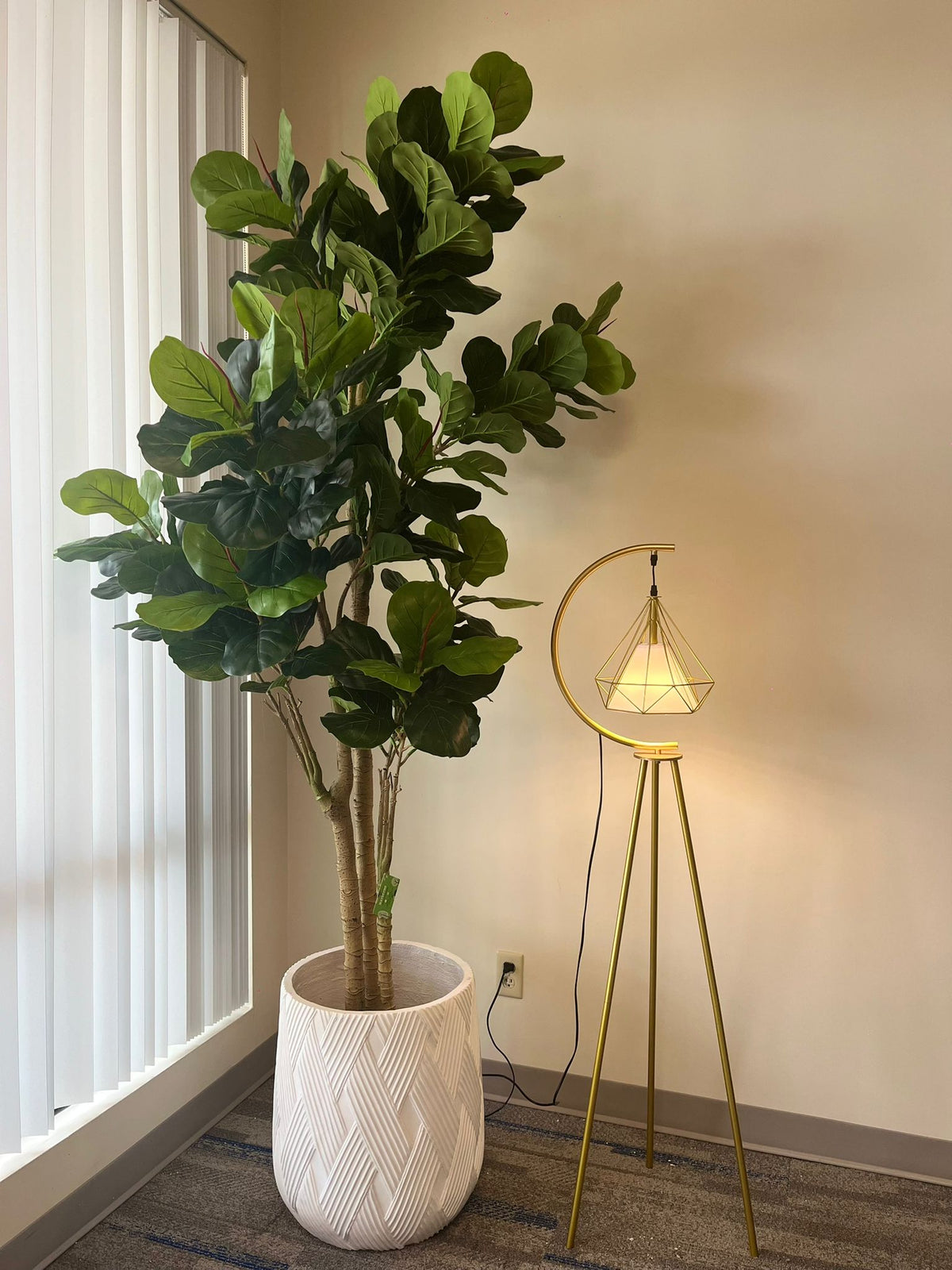Fiddle Leaf Fig Tree – Bold Greenery for Modern Interiors