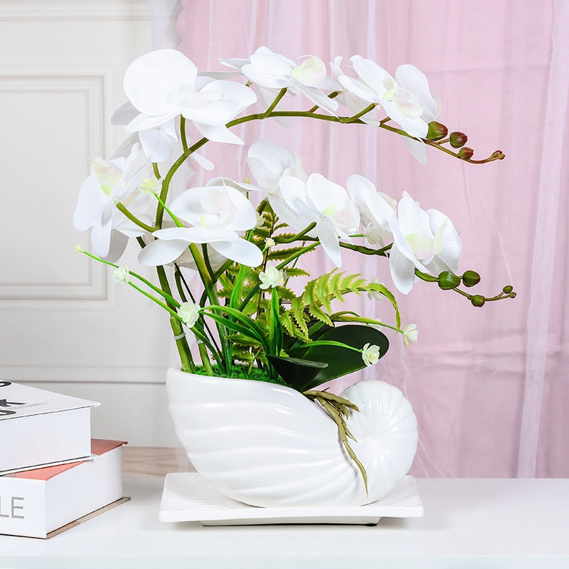 Timeless Elegance: The Allure of White Orchid Arrangements