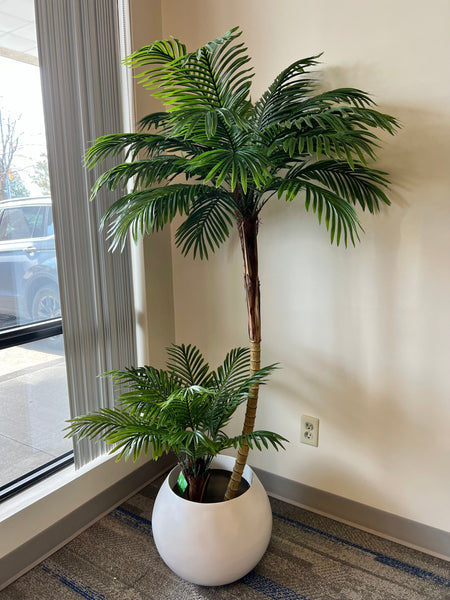 Transform Your Space with Elegant Palm Trees 🌴 – Timeless Décor Inspiration
