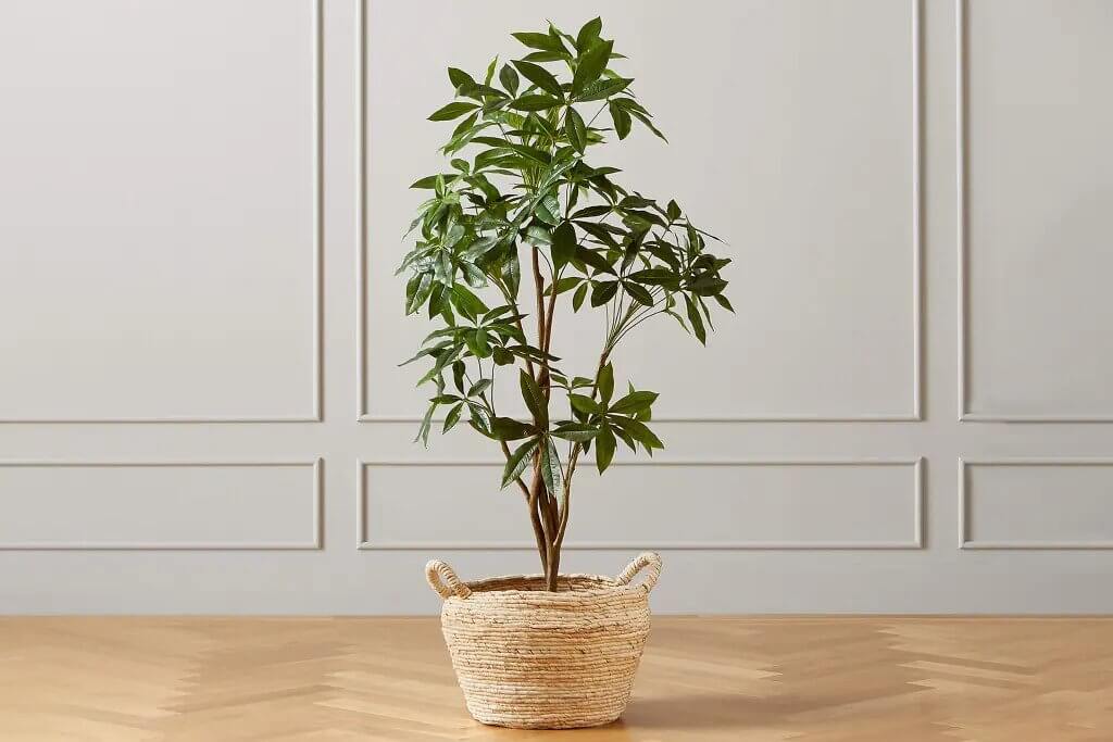 An indoor artificial plant in a beautiful pot on a wood floor.