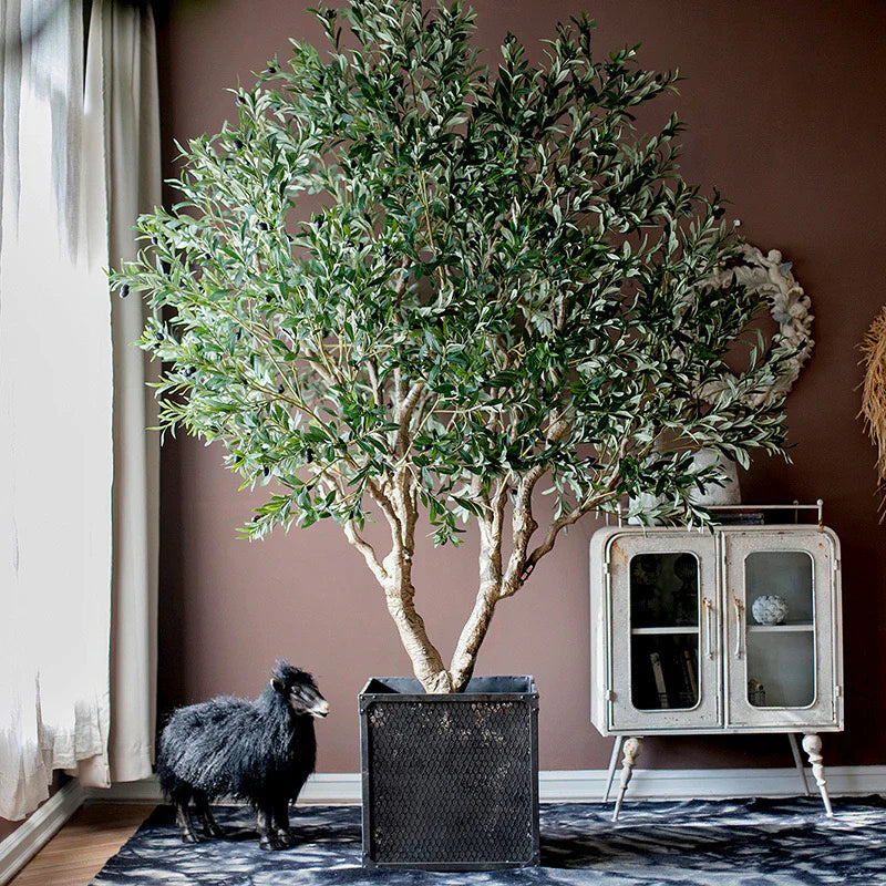 Timeless Elegance with Artificial Olive Plants