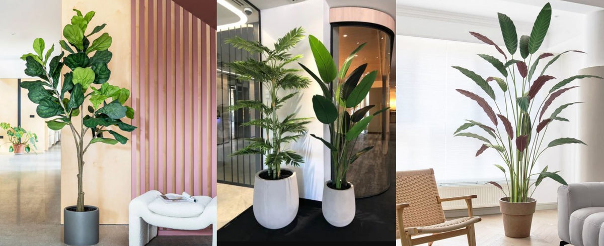 Faux Fiddle leaf fig tree Palm trees and Bird of Paradise Colorful Plants for décor