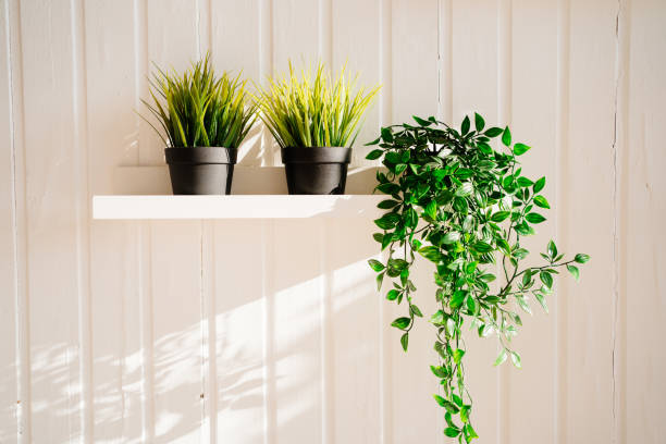 Comment décorer votre maison avec des plantes artificielles