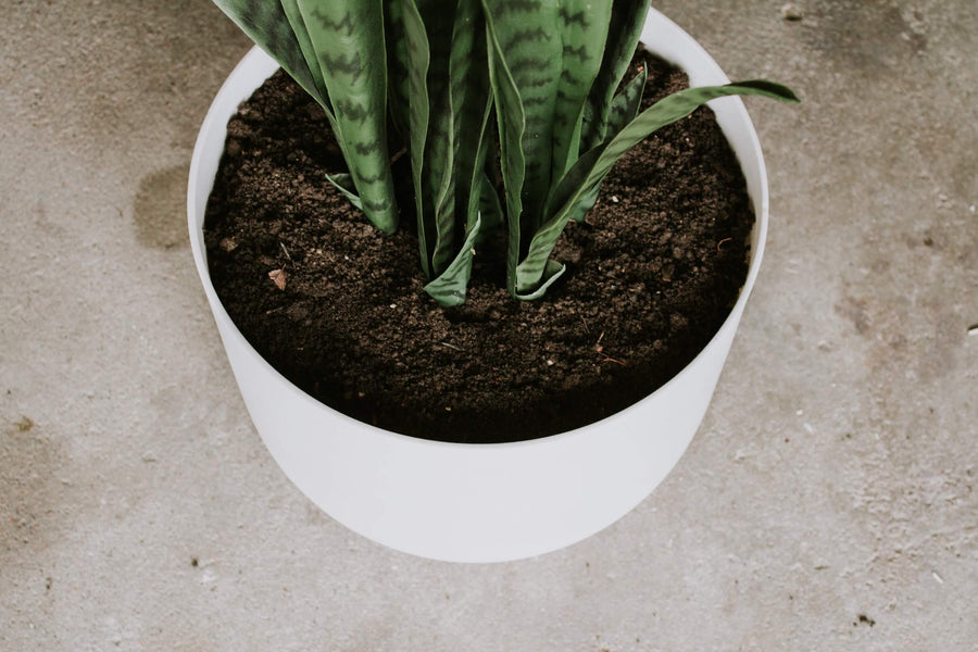 How to Make Fake Soil for Artificial Plants?