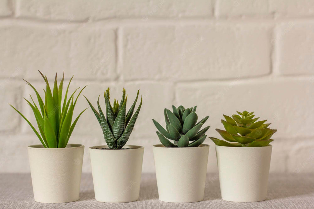 4 beautiful real looking artificial plants in white pots with white brick wall behind them.