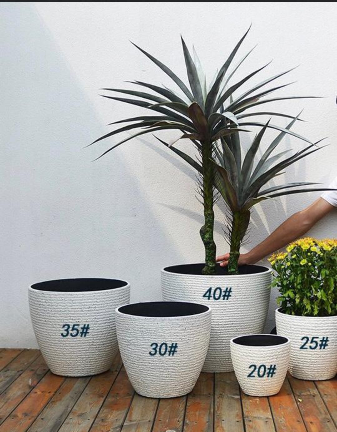 5 Cement Planter Décor Ideas for 2024