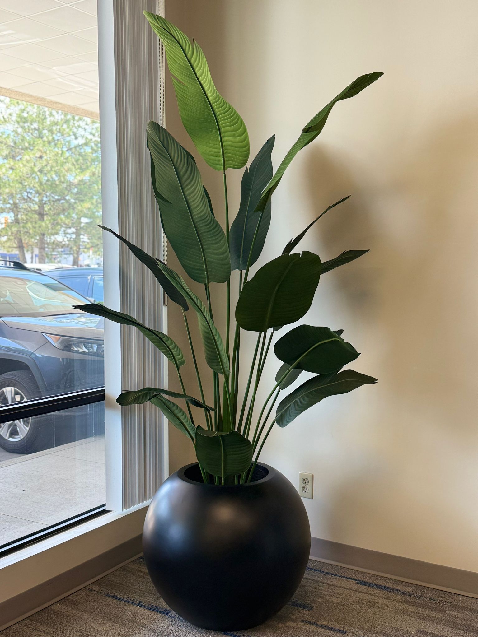 Bird of Paradise: A Bold Statement for Modern Spaces