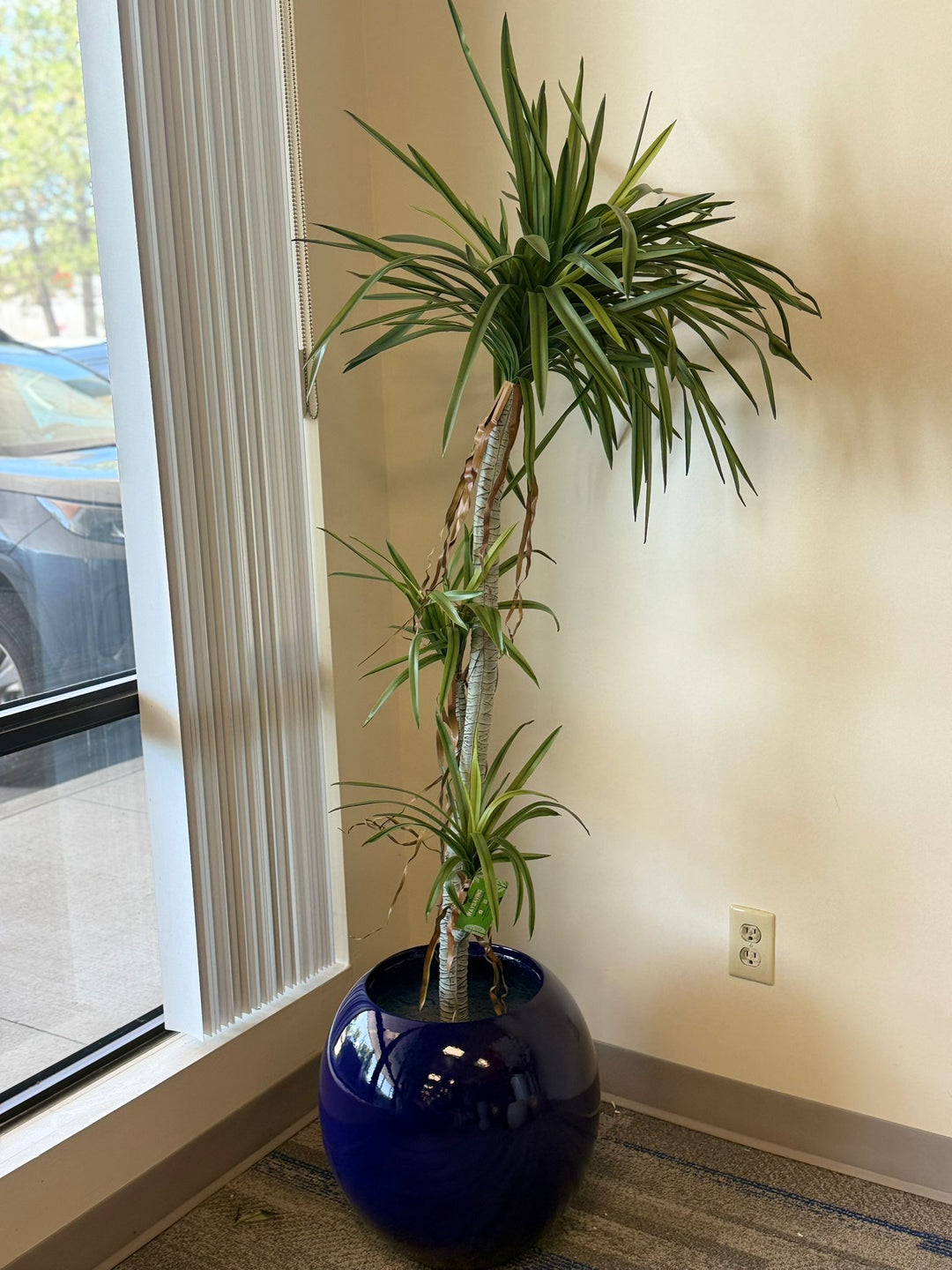 Artificial Yucca Plants for Sale | Modern Low-Maintenance Greenery by Waysaving