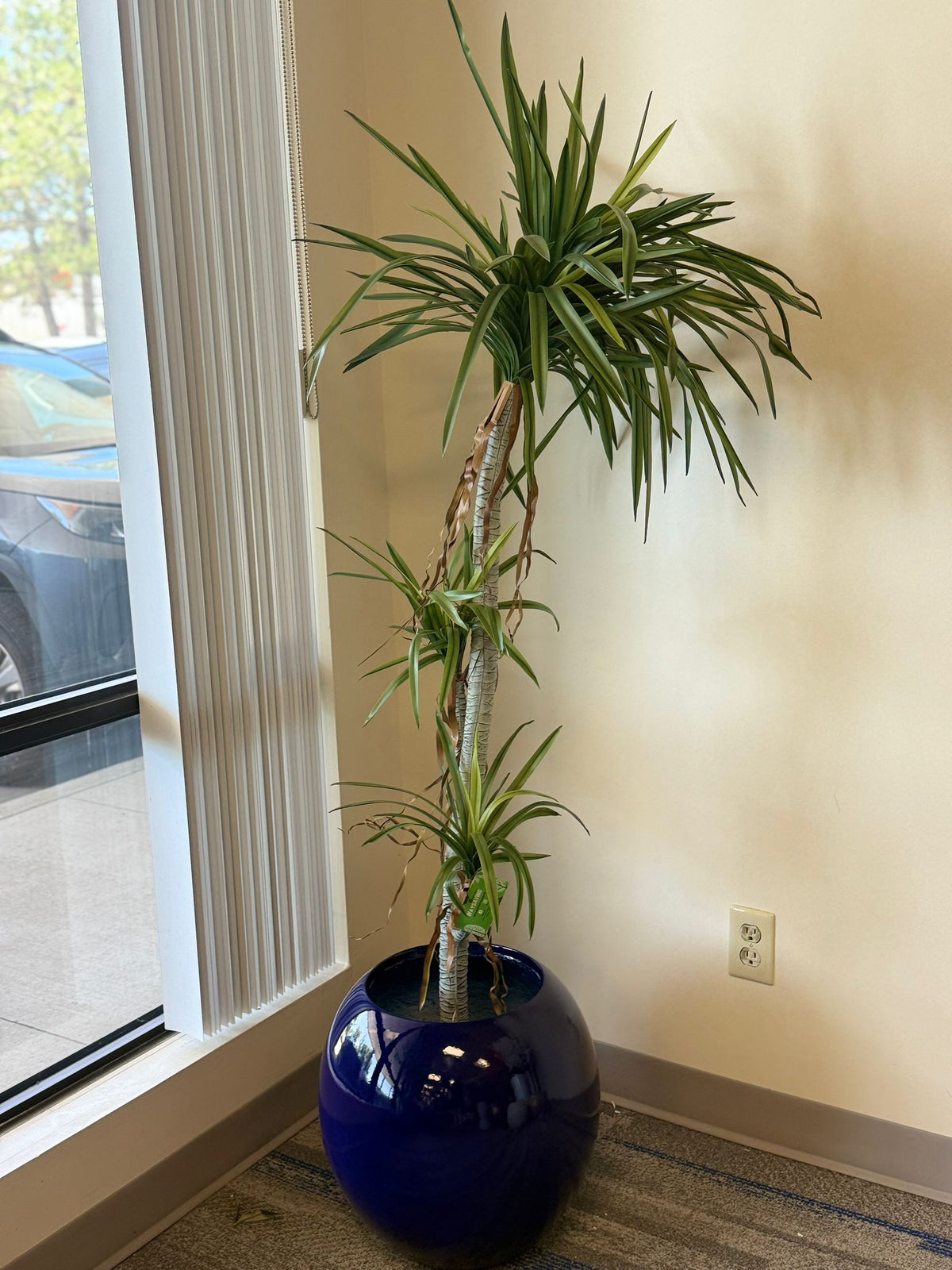 Artificial Yucca Plants – Modern, Maintenance-Free Greenery for Every Space