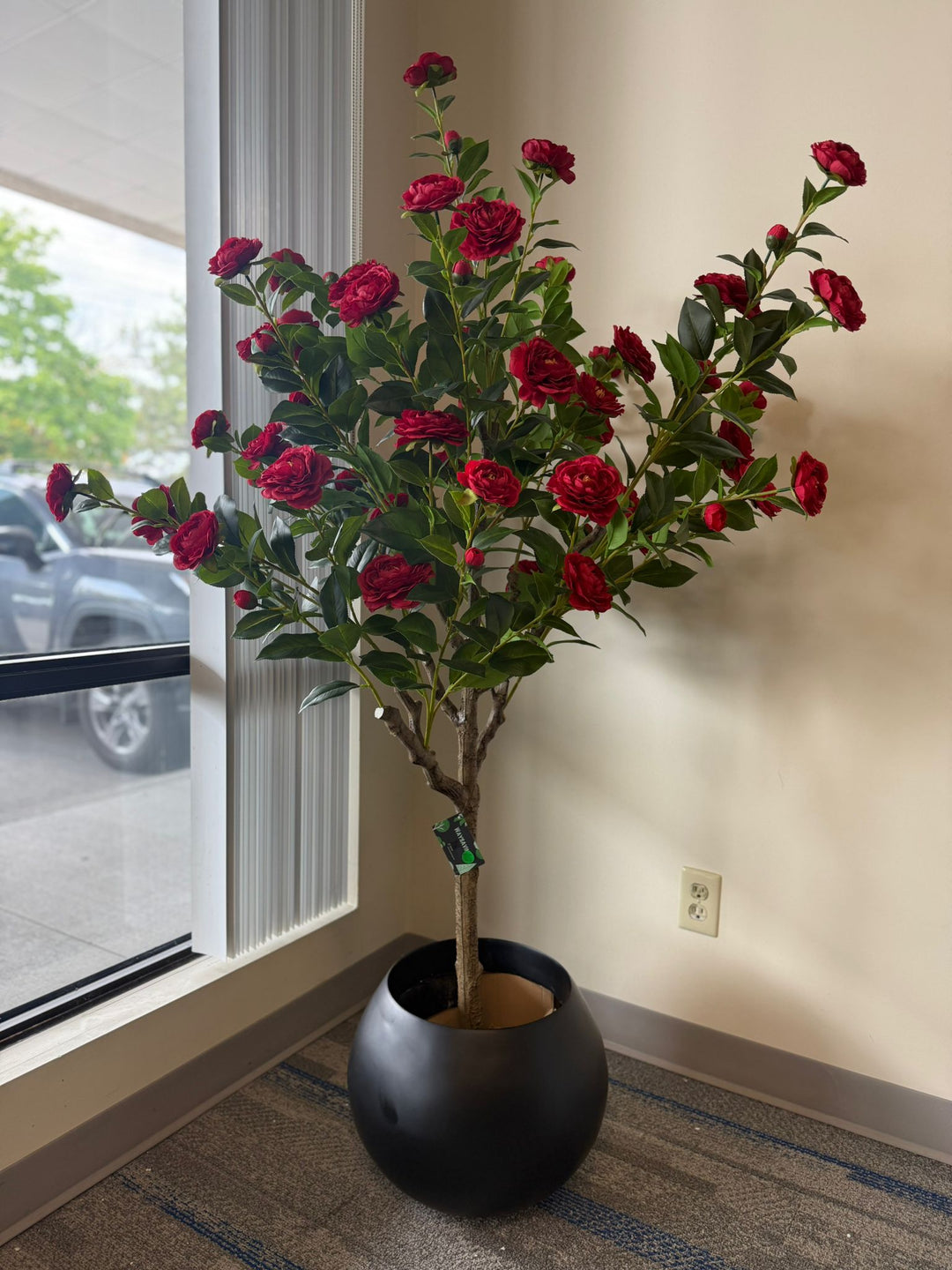 Red Camellia Flower Tree – Elegant Presence, Effortless Beauty