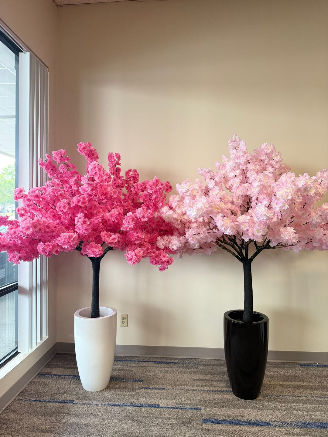 Bring Instant Charm With Beautiful Flower Trees