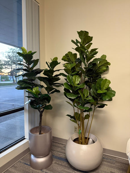 Bring Bold Style Home With the Artificial Fiddle Leaf Fig