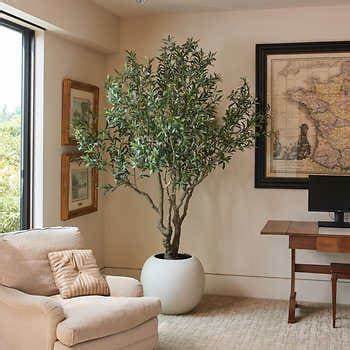 Faux Plants: A Stylish Solution for Low-Maintenance Decor