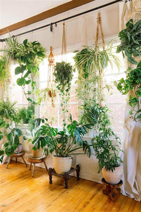 Transform Your Apartment with These Stunning Hanging Plants