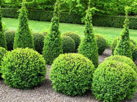 Creating Elegant Landscapes with Faux Boxwood Topiaries