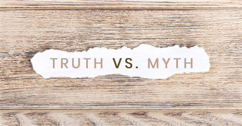 Truth vs. Myth: Proper Care for Office Greenery