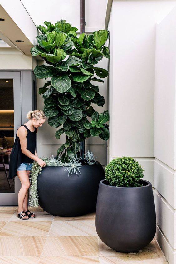 Transform Your Space: How to Pot Artificial Plants Like a Pro