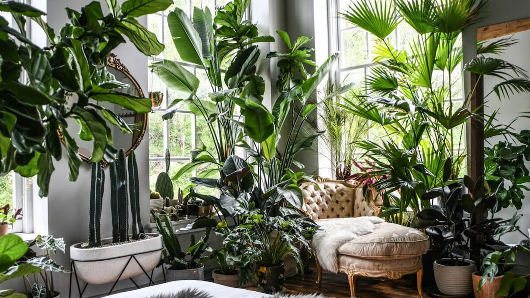 How Artificial Plants Became a Must-Have in Contemporary Home Décor