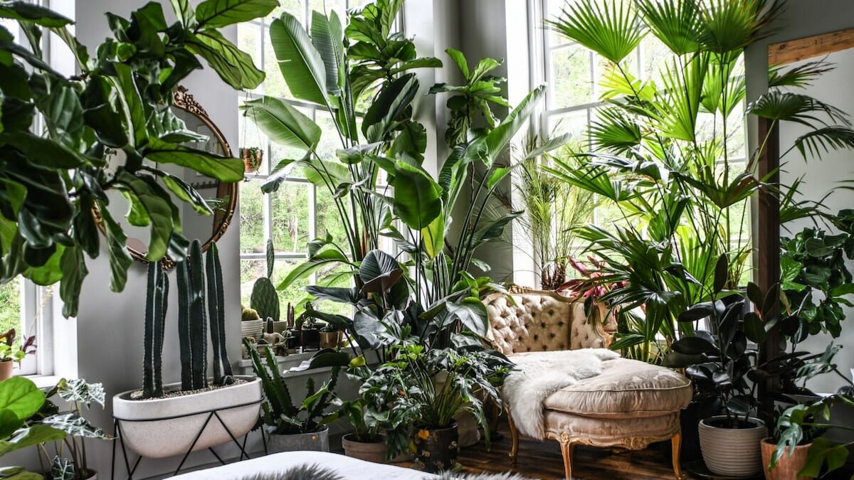 How Artificial Plants Became a Must-Have in Contemporary Home Décor