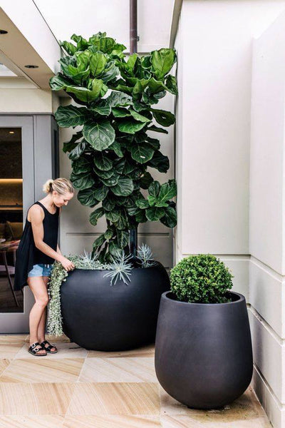 Transform Your Space: How to Pot Artificial Plants Like a Pro