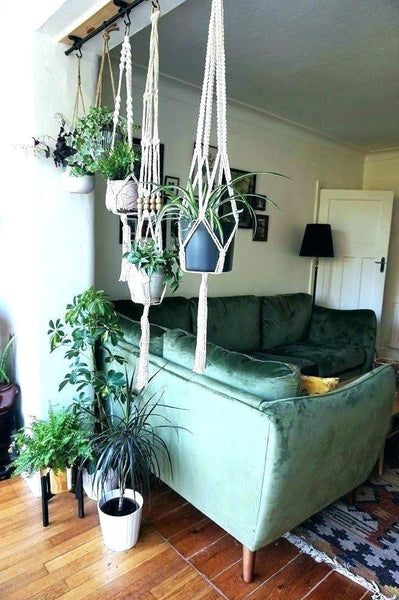 Innovative Ways to Display Hanging Plants Indoors