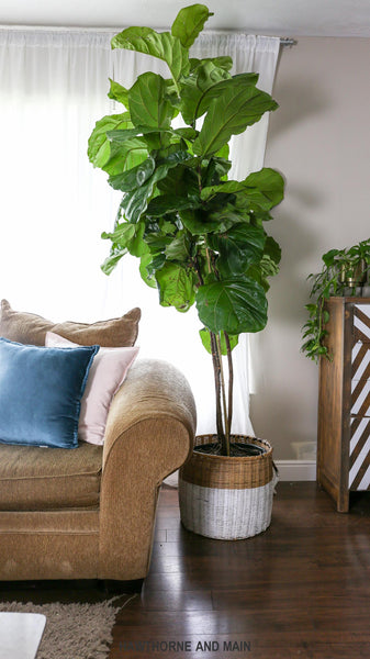 Transform Your Home for Summer with Faux Plant Decor from Waysaving