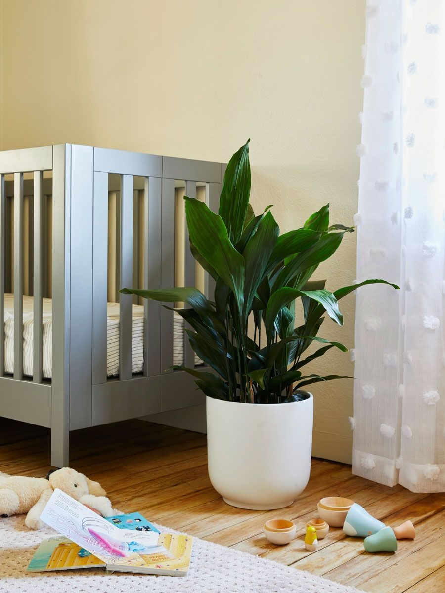 Interactive Artificial Plants for Children’s Rooms