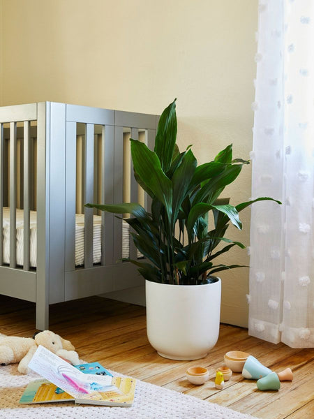 Interactive Artificial Plants for Children’s Rooms