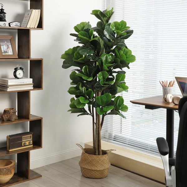 Why the Fiddle Leaf Plant is a Must-Have for Office Decor