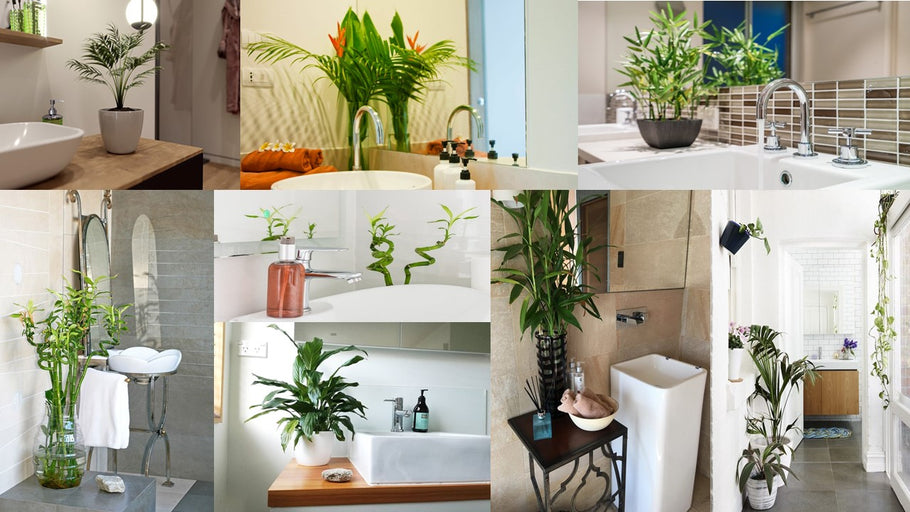 Transforming Your Bathroom into a Spa with Artificial Plants