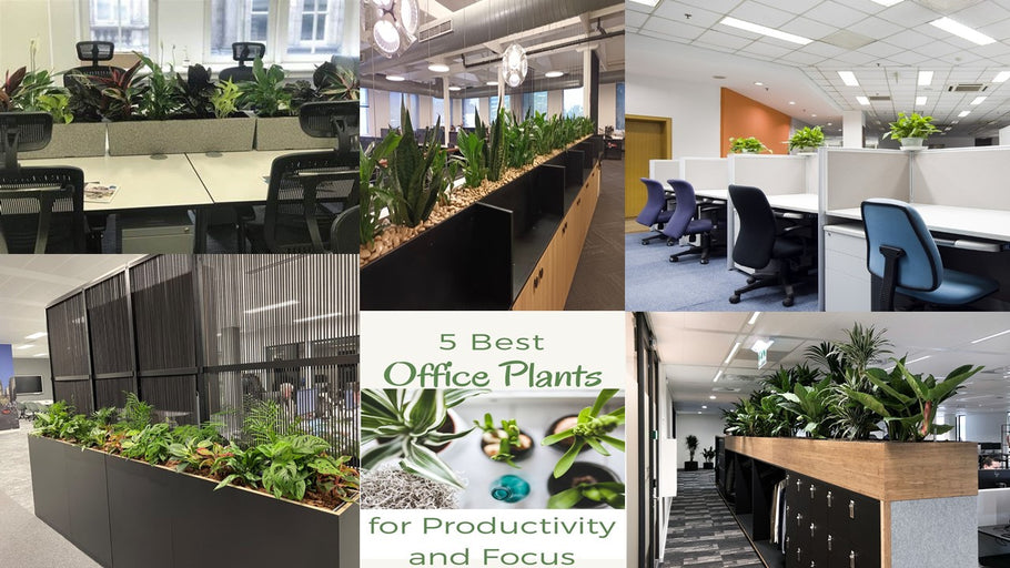 Top 5 Benefits of Incorporating Artificial Plants in Your Office