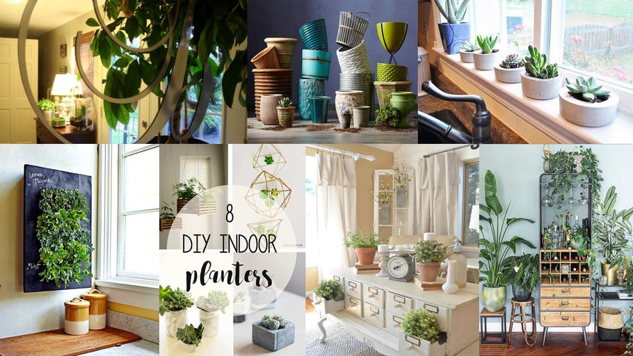 8 Ways to Use Pots and Planters in Your Interior Design