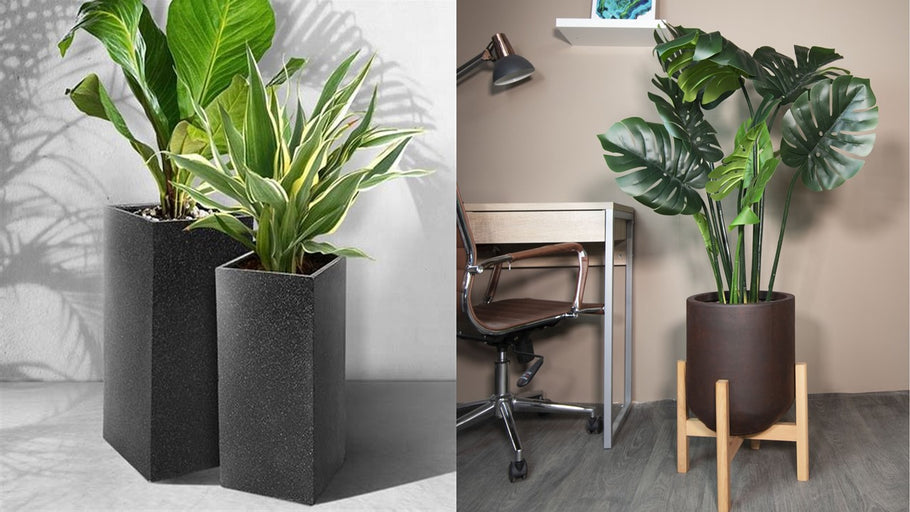 Top Trends in Indoor Planters for 2024