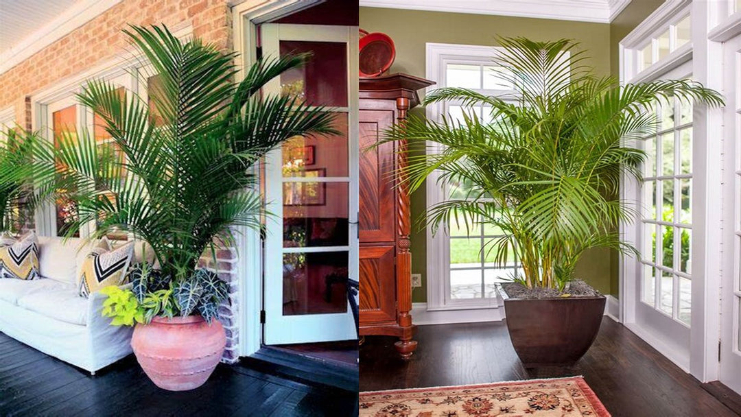 How to Effectively Decorate Your Outdoor Area with Artificial Plants