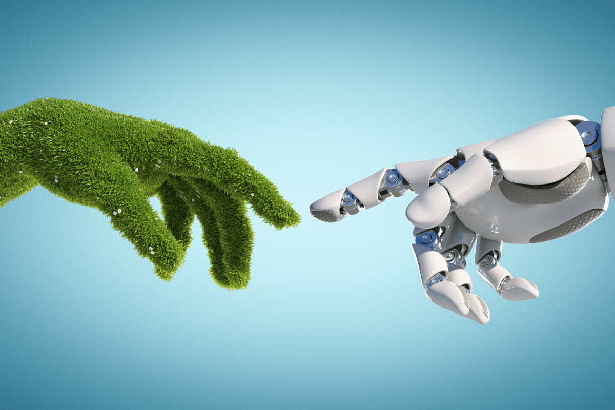How Technology Has Enhanced the Realism of Artificial Plants
